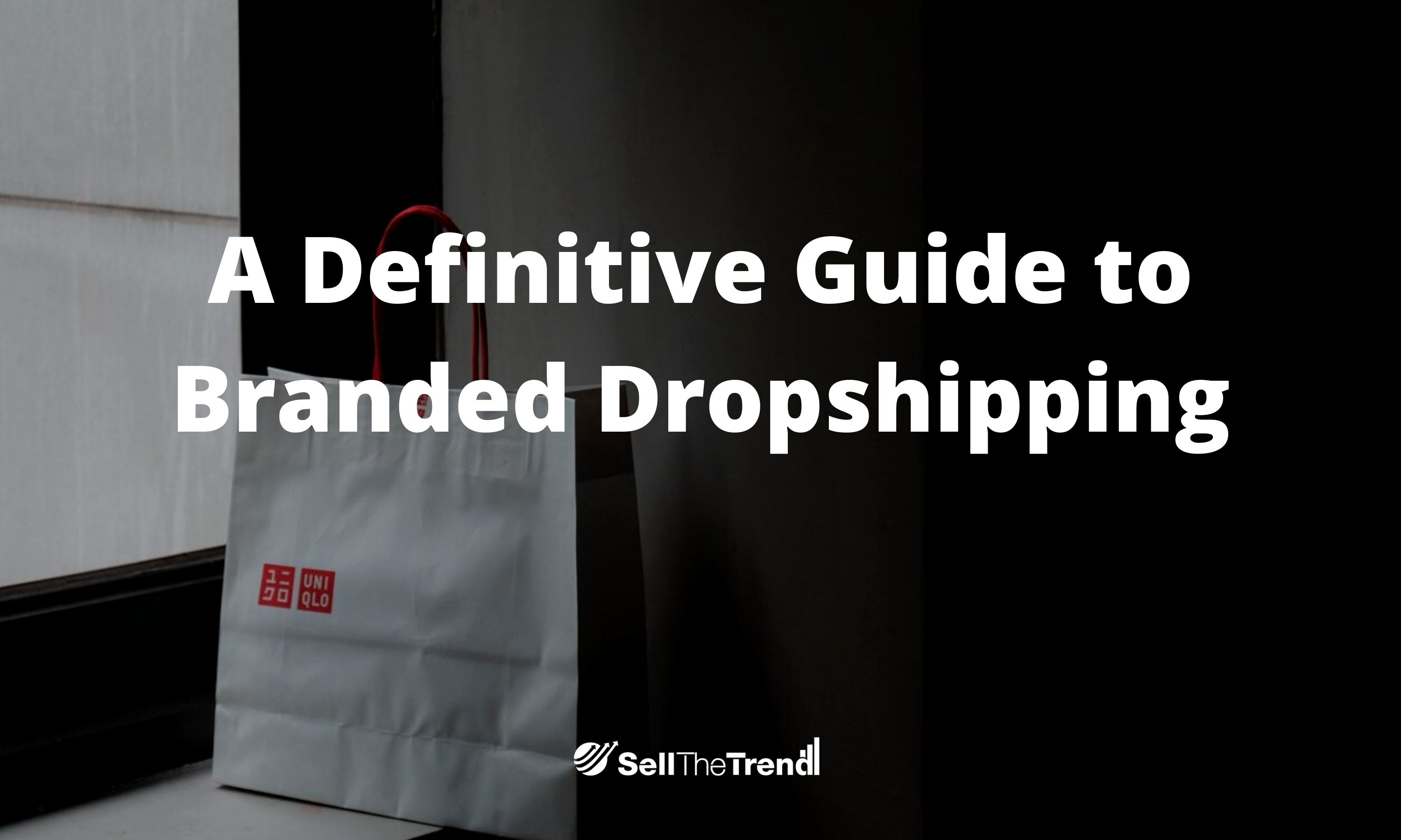 A definitive Guide to Branded Dropshipping